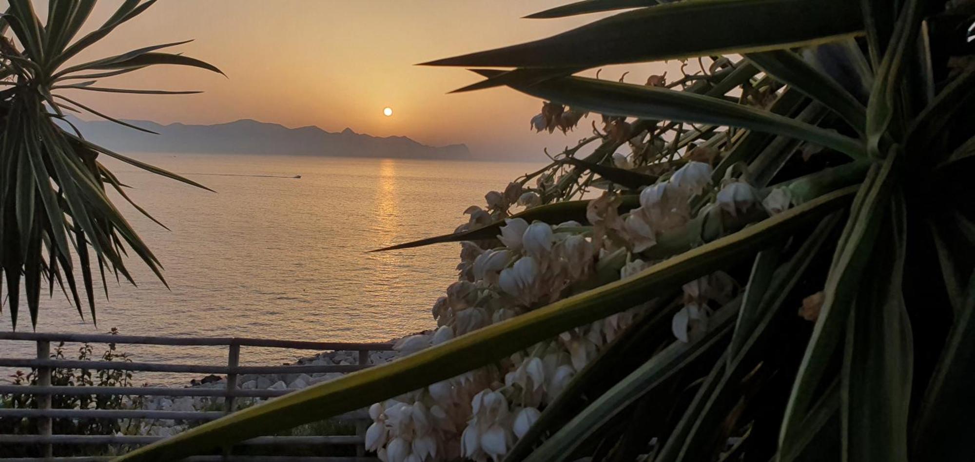 Loft In Balestrate Vicino Al Mare - Rental Beb Exteriör bild
