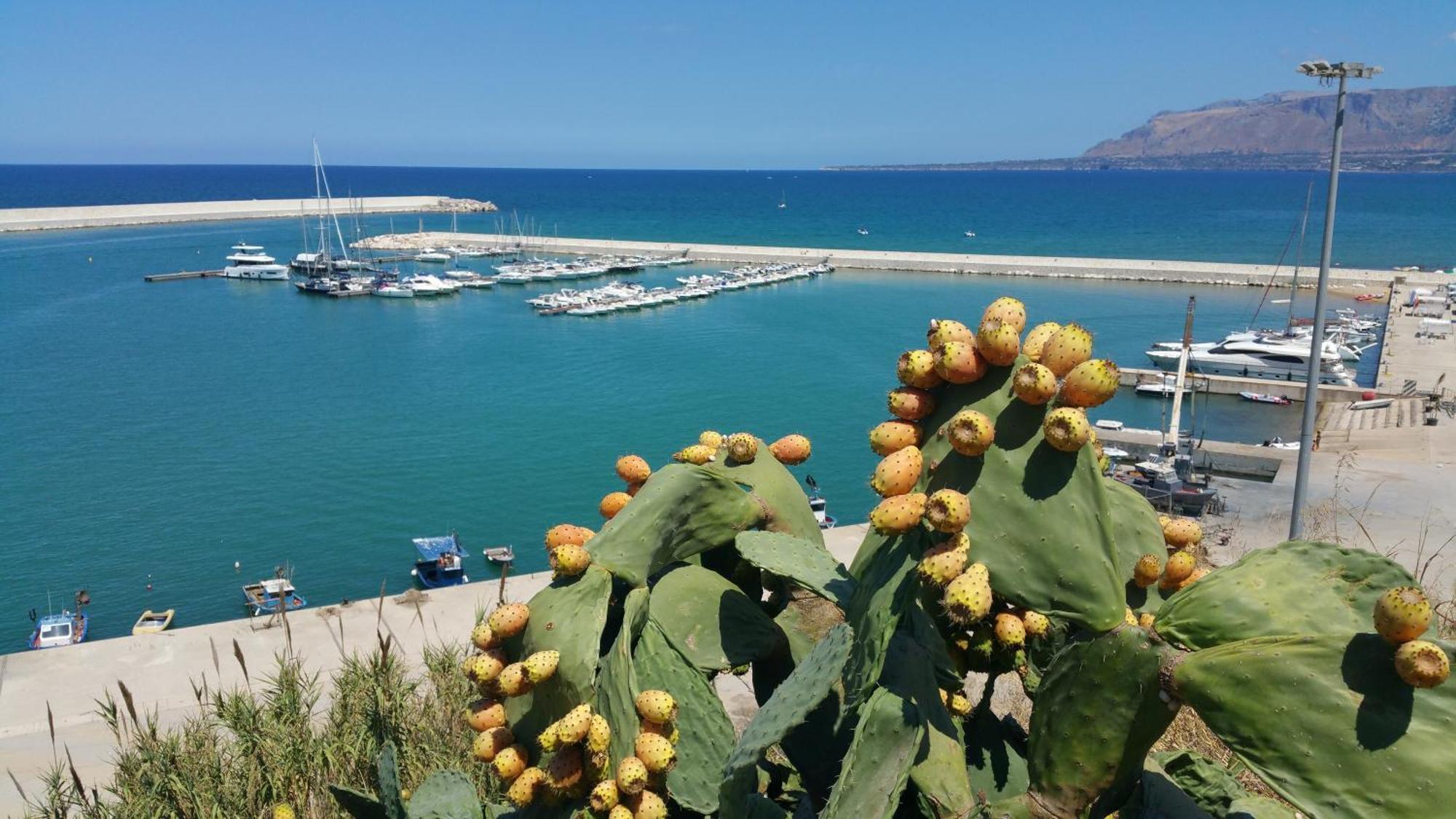 Loft In Balestrate Vicino Al Mare - Rental Beb Exteriör bild